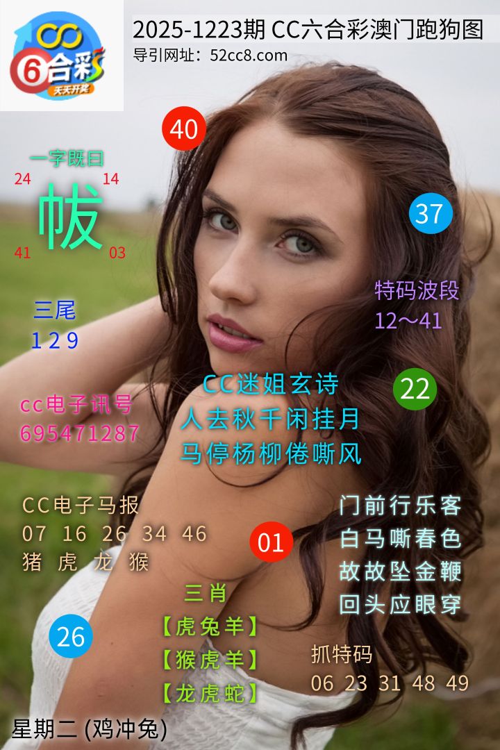 CC六合澳门跑马图1223期