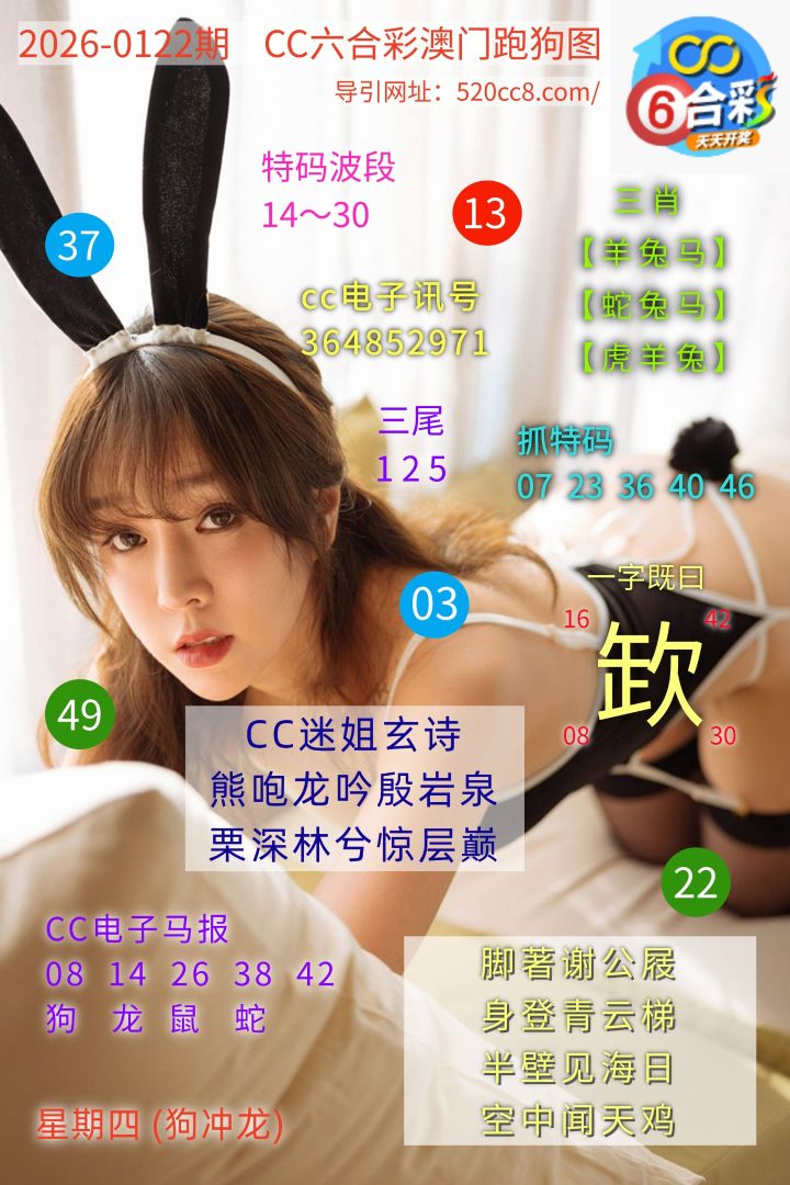 CC六合澳门跑马图0122期