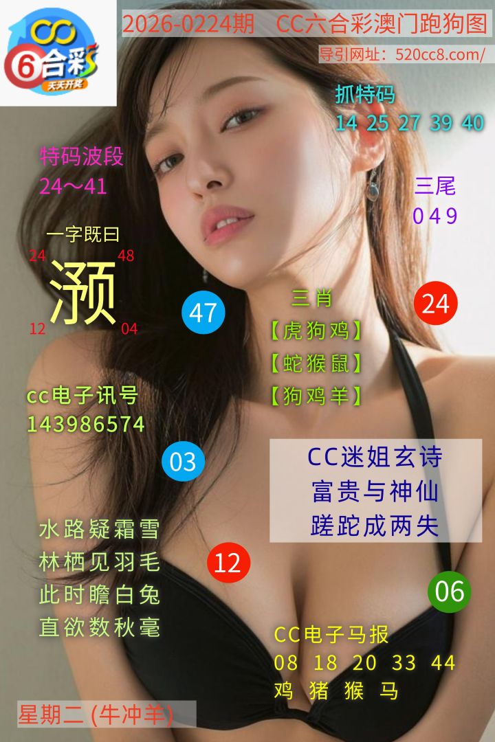 CC六合澳门跑马图0224期